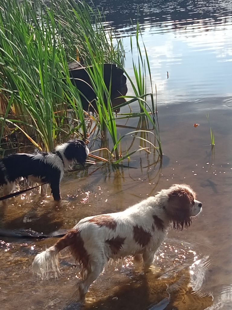 On aime l'eau, on nage très bien aussi